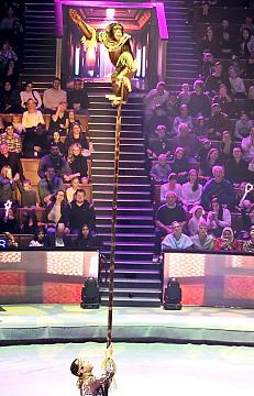 Новогодняя поездка в цирк — праздник для детей и взрослых!